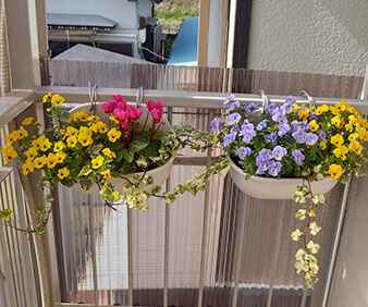 手植えの花