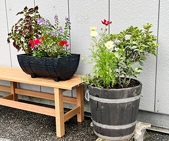 手植えの花